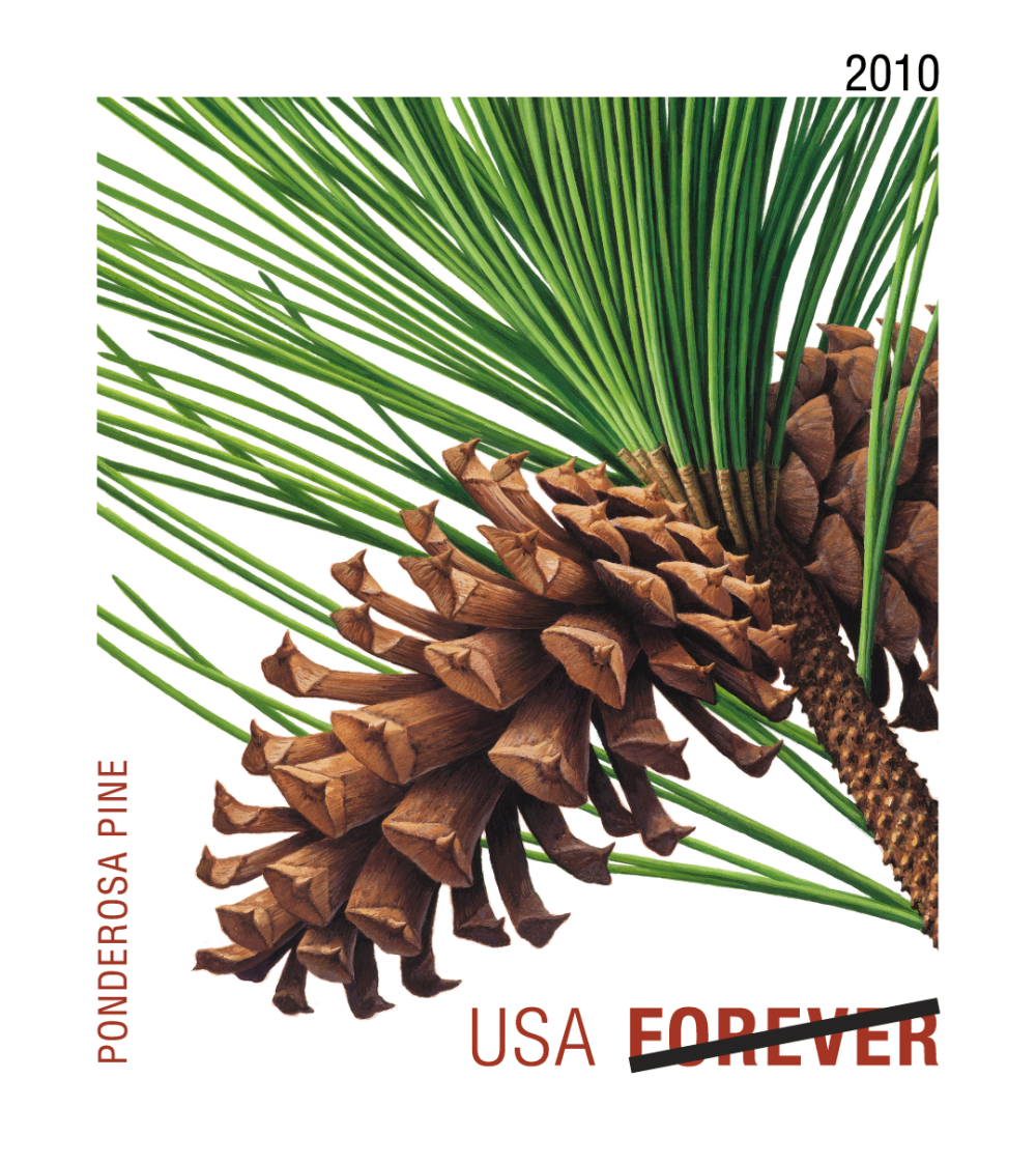 2010 Evergreens Stamps
