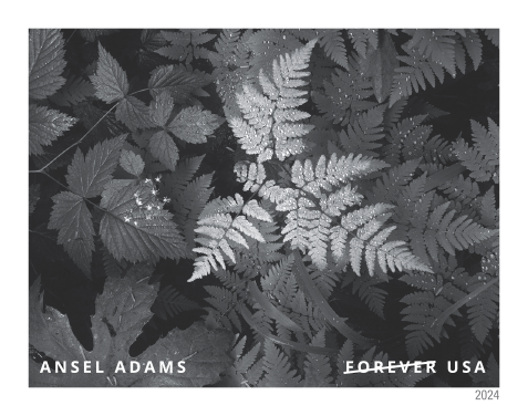 2024 Ansel Adams Stamps