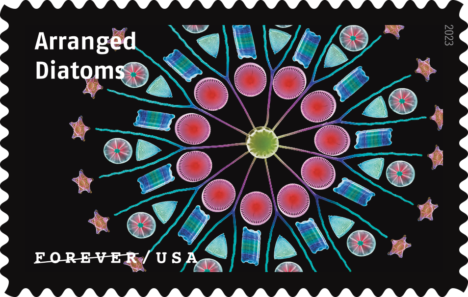 2023 Life Magnified Stamps