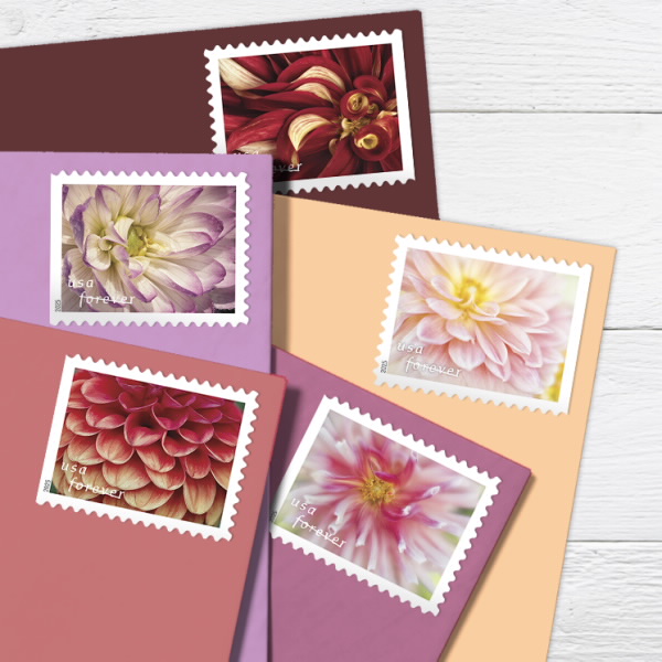 2025 Forever Stamps Dahlias Stamps