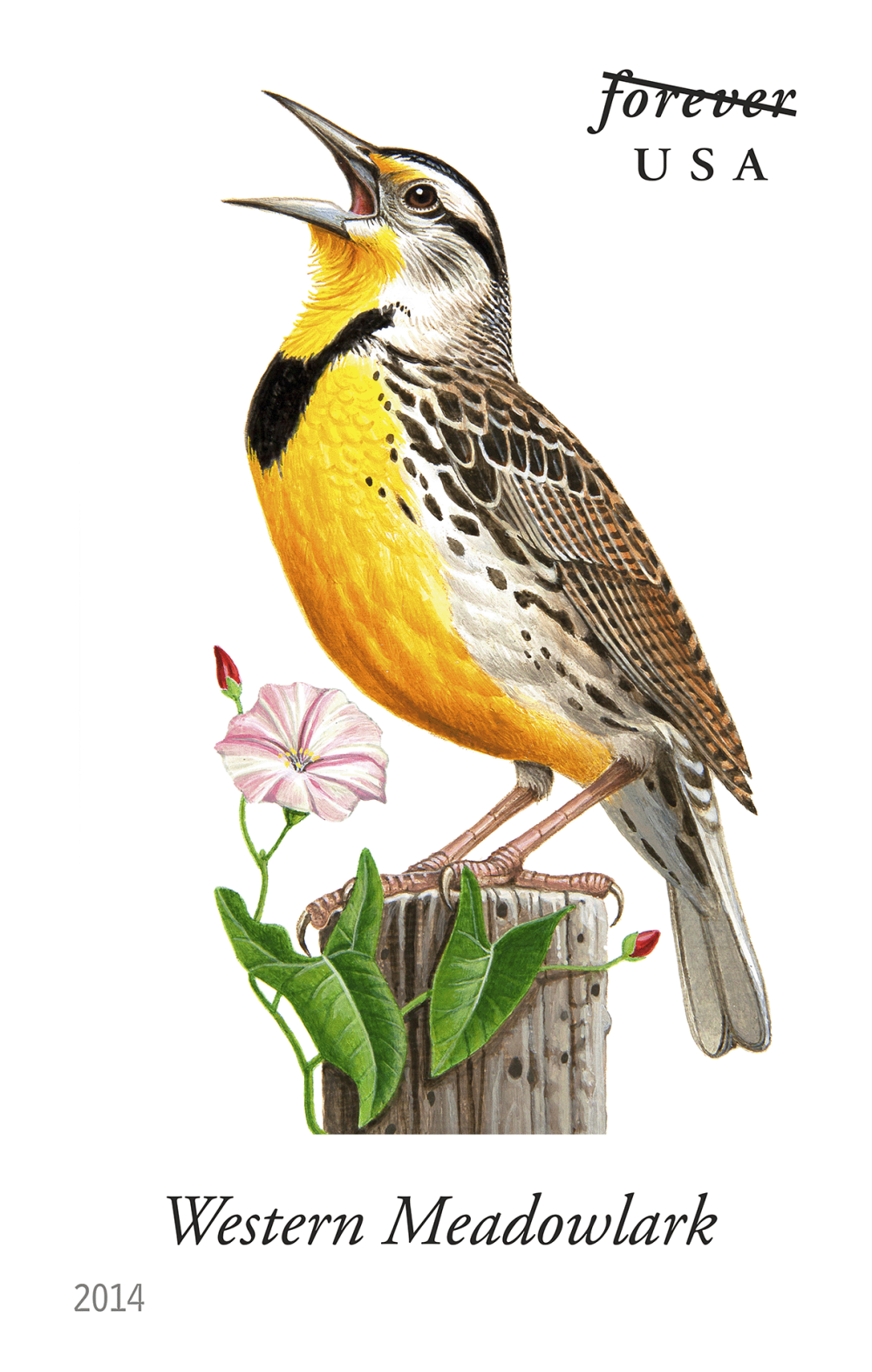 2014 Song Birds Stamps