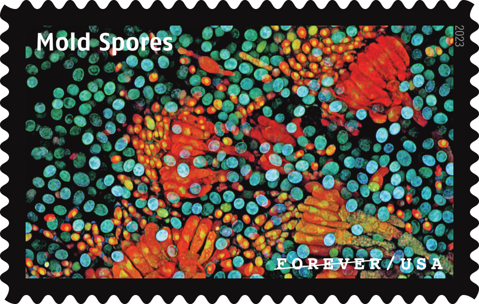 2023 Life Magnified Stamps