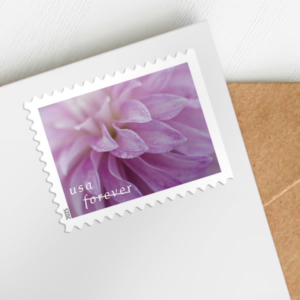 2025 Forever Stamps Dahlias Stamps