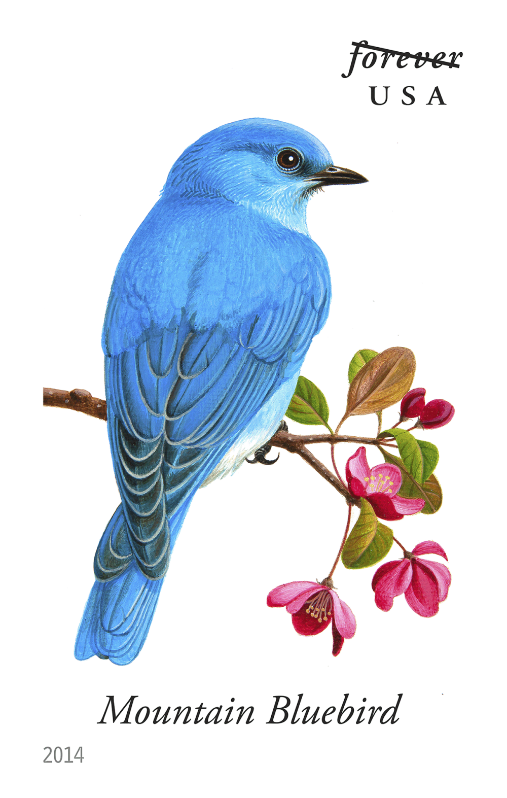 2014 Song Birds Stamps