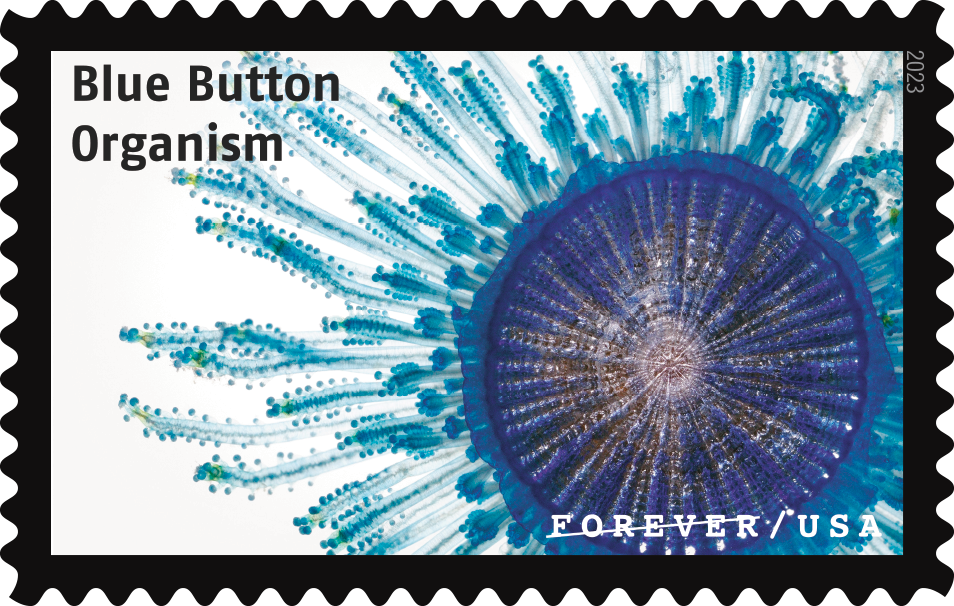 2023 Life Magnified Stamps