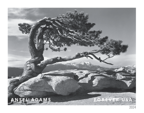 2024 Ansel Adams Stamps