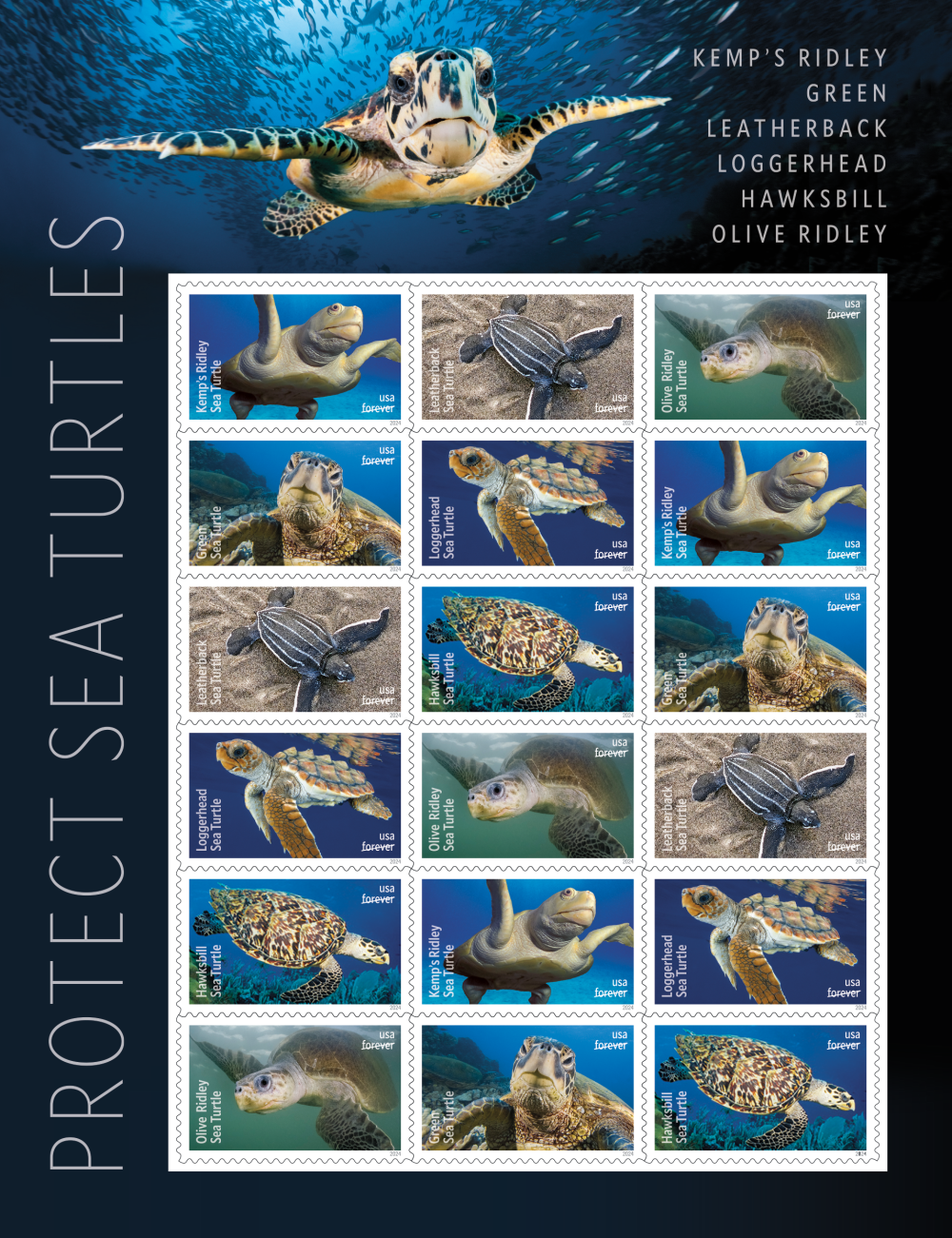 2024 Protect Sea Turtles Stamps