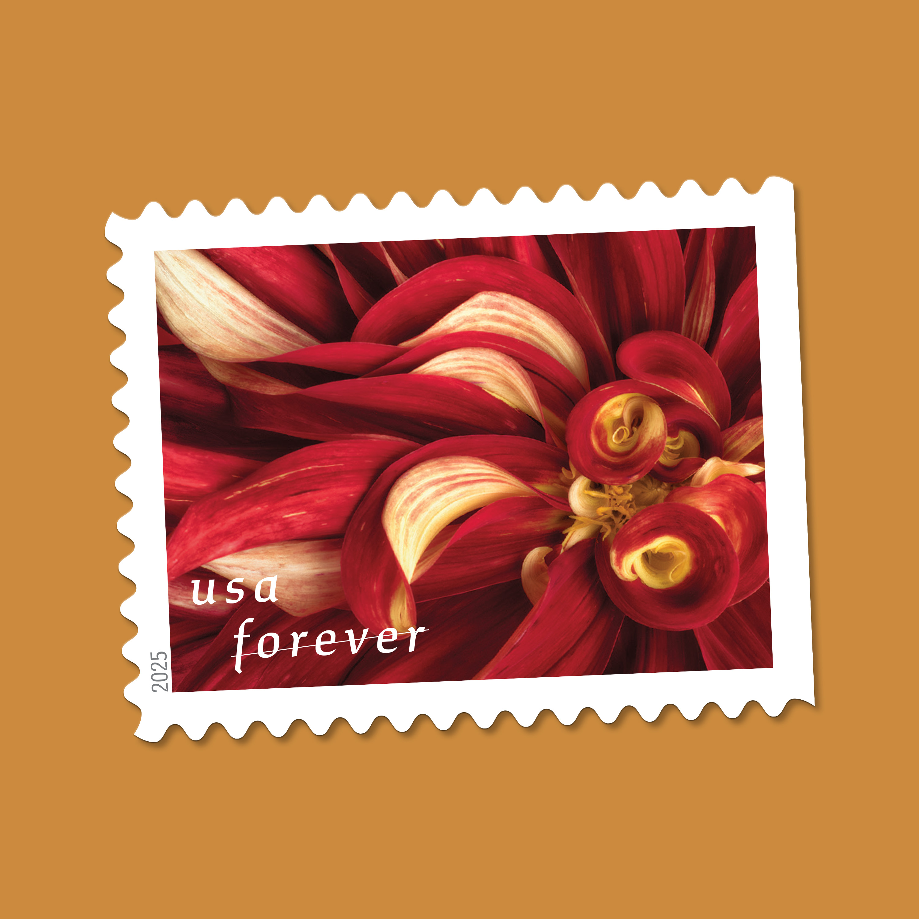 2025 Forever Stamps Dahlias Stamps