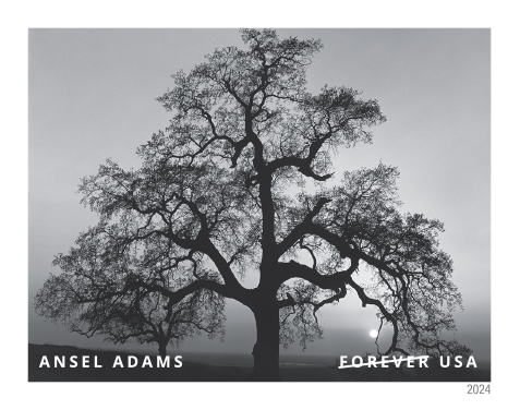 2024 Ansel Adams Stamps