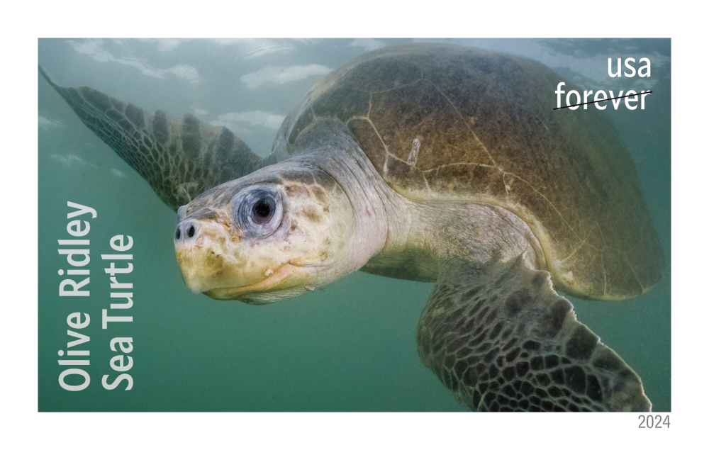 2024 Protect Sea Turtles Stamps
